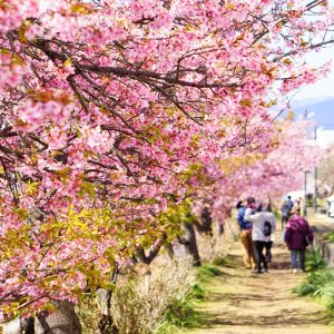 南足柄市の特許・実用新案登録・意匠登録・商標登録に役立つ情報