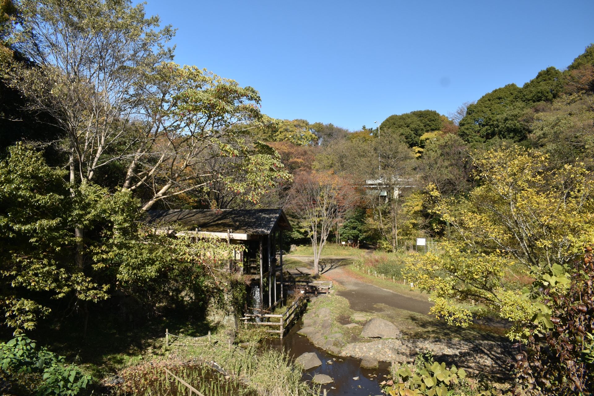 大和市の風景